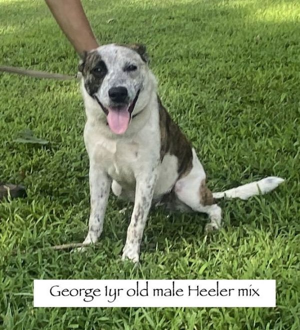 George