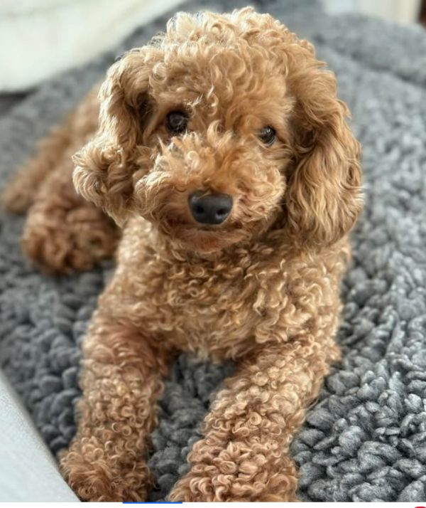 Ellie