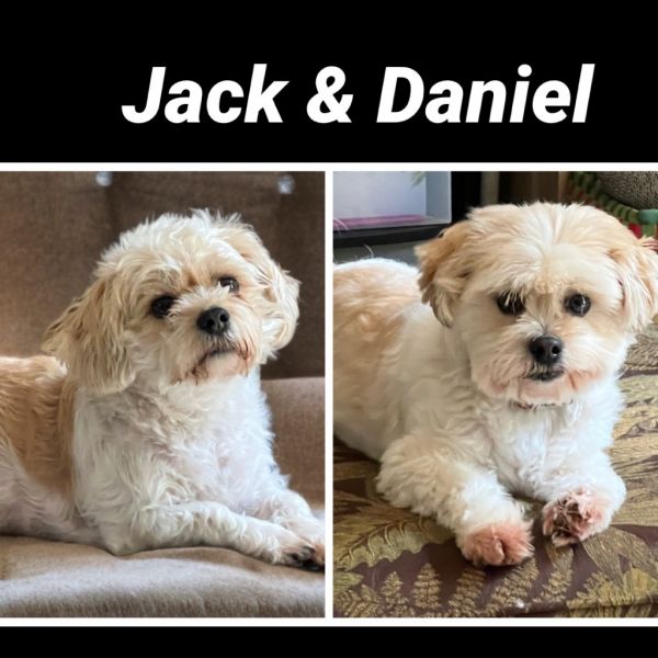 Daniel / Jack