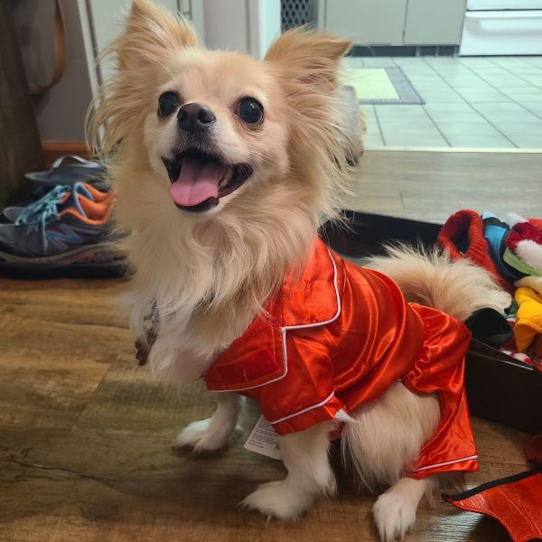 Ralphie