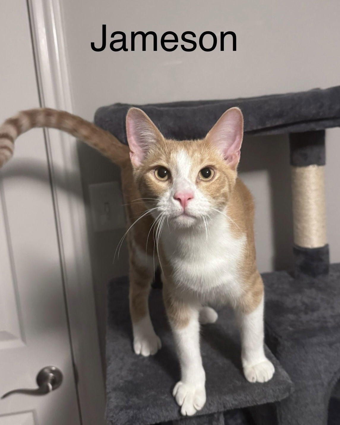 Jameson
