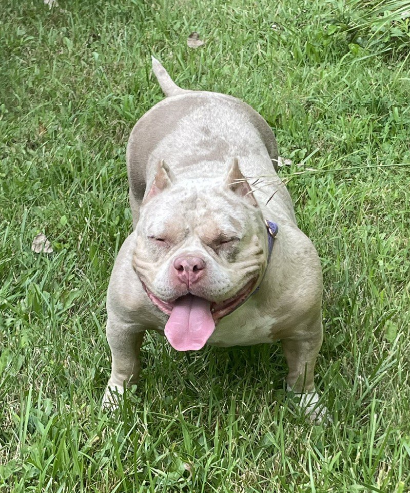 Luna