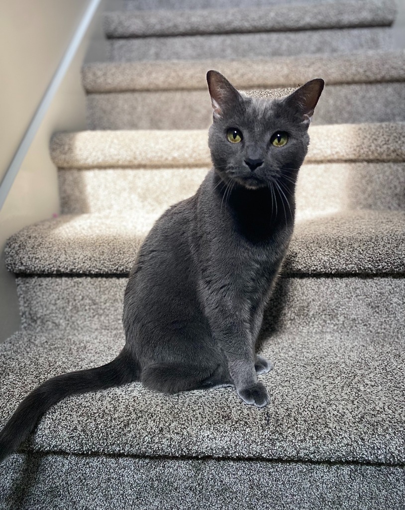 Leo