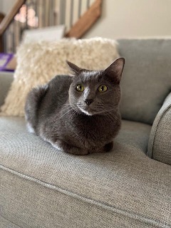 Leo