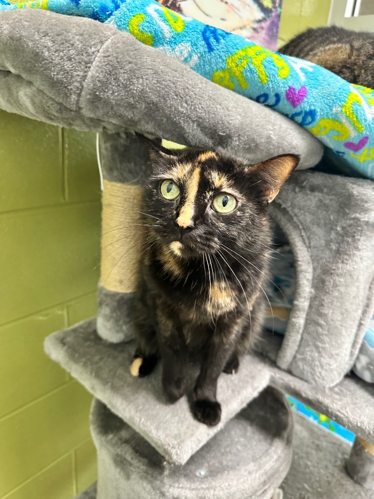 Winnie (pleasant view)