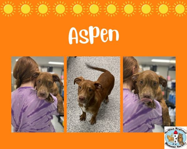 Aspen