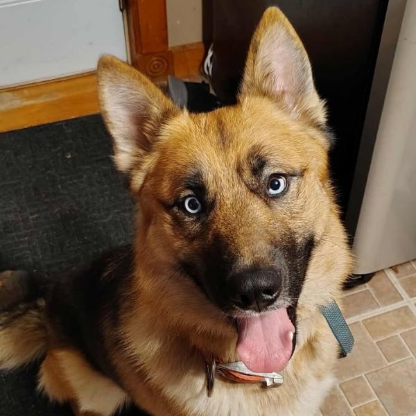 Zeus