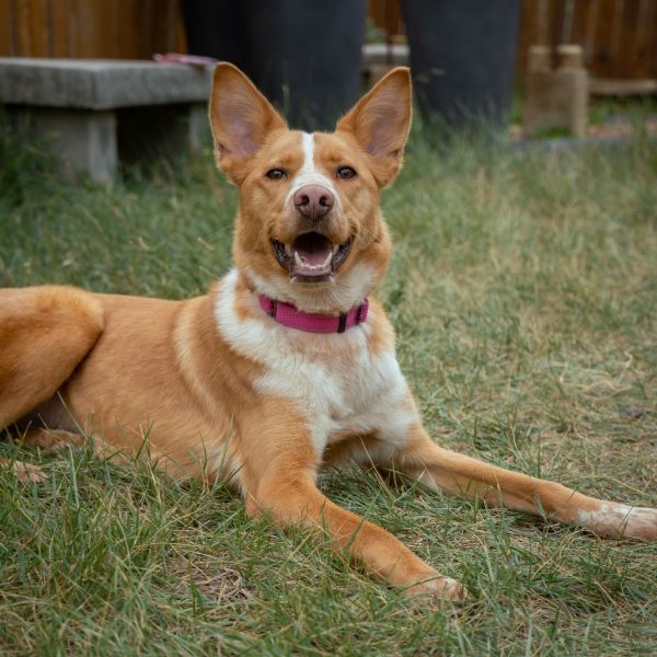 Maggie