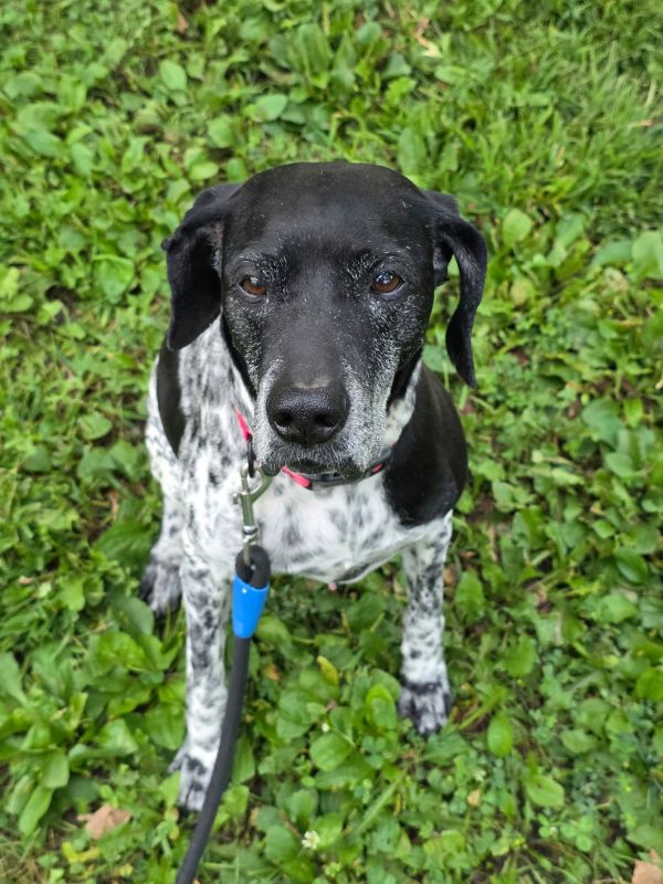 Remi