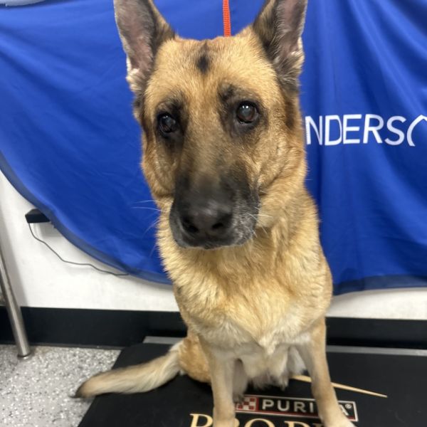 HACC-Stray-30607