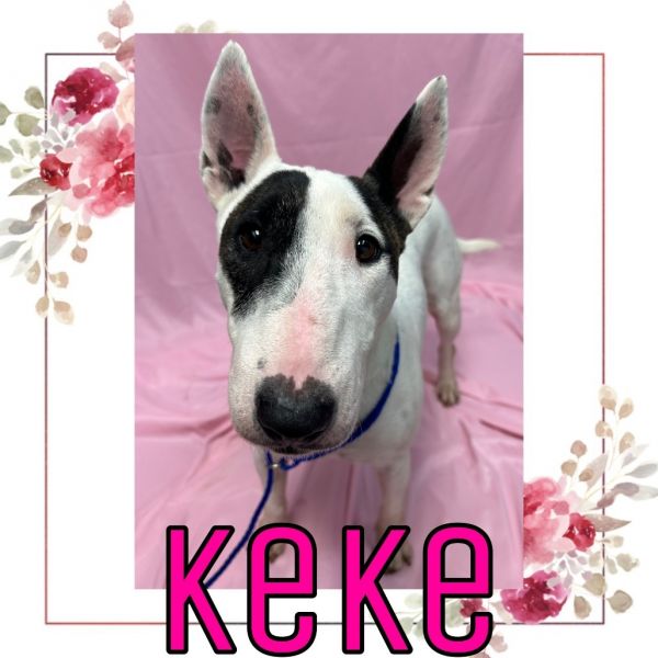 Keke