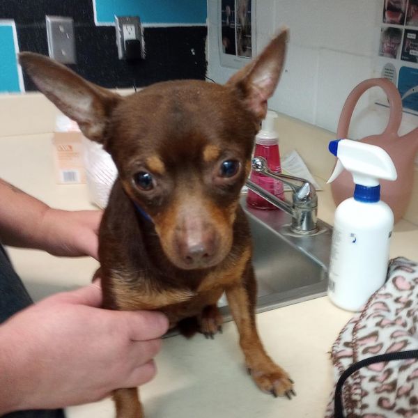 Coco