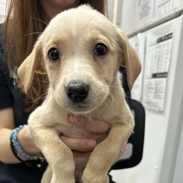 Winnie