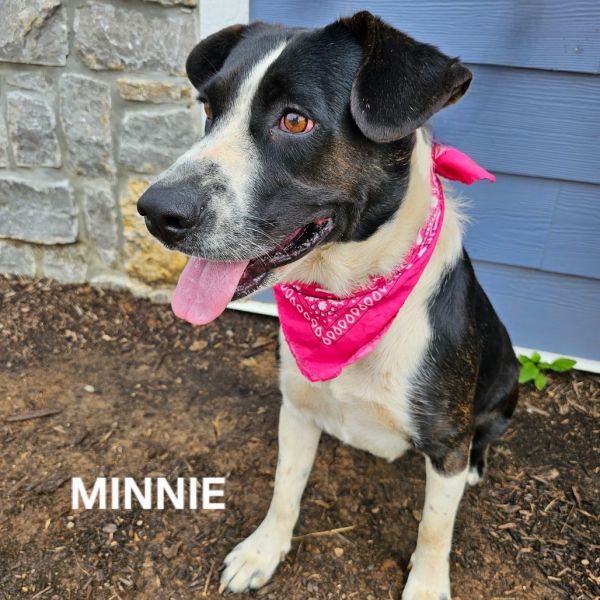 Minnie
