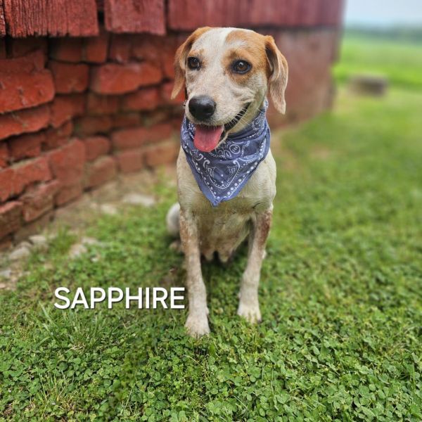 Sapphire