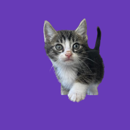 Huey