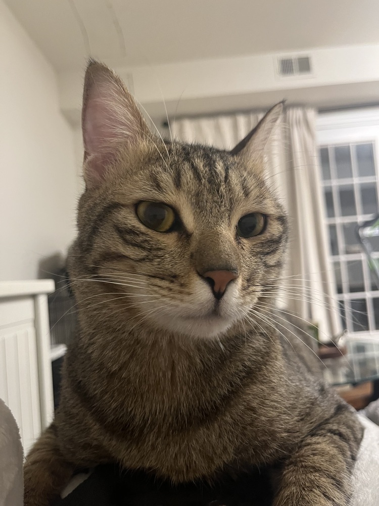 Tony