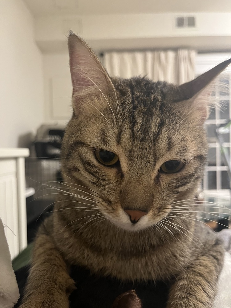 Tony