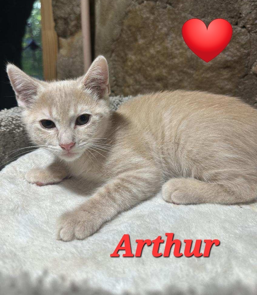 Arthur