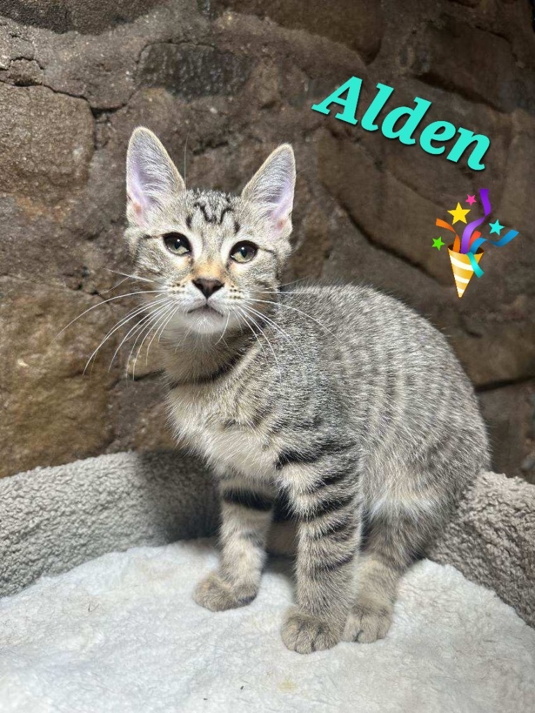Alden