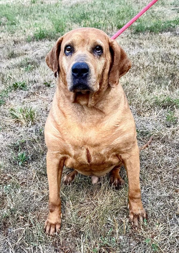 Cooper (courtesy post)