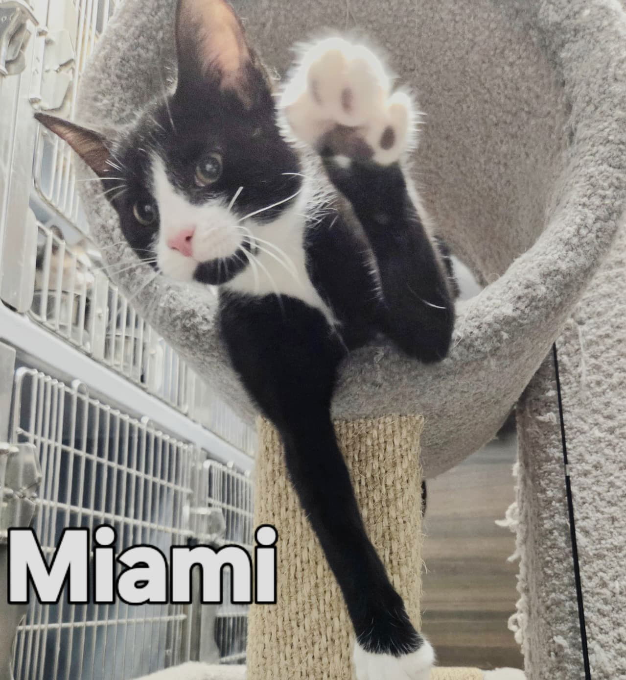 Miami