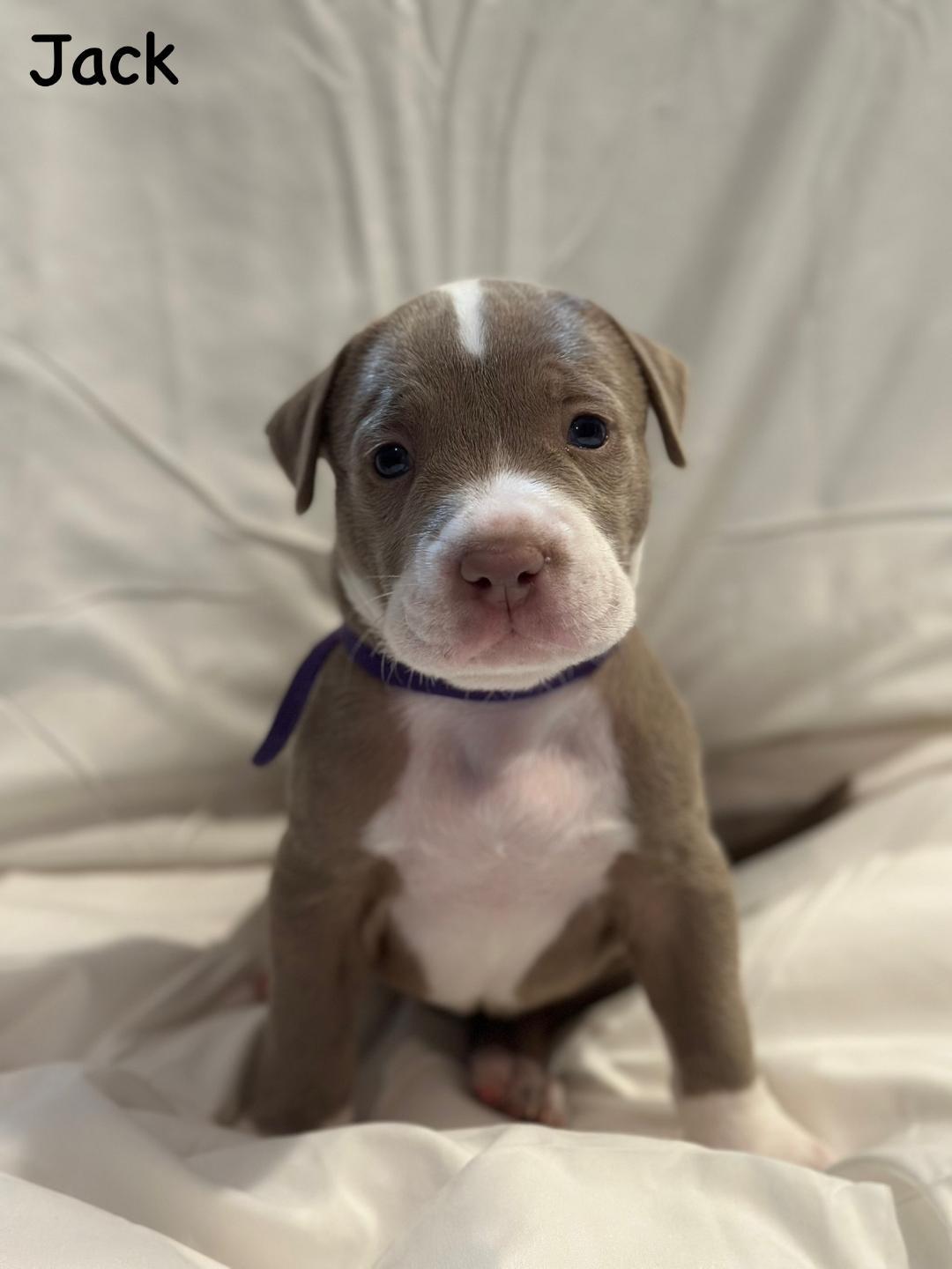 Jack