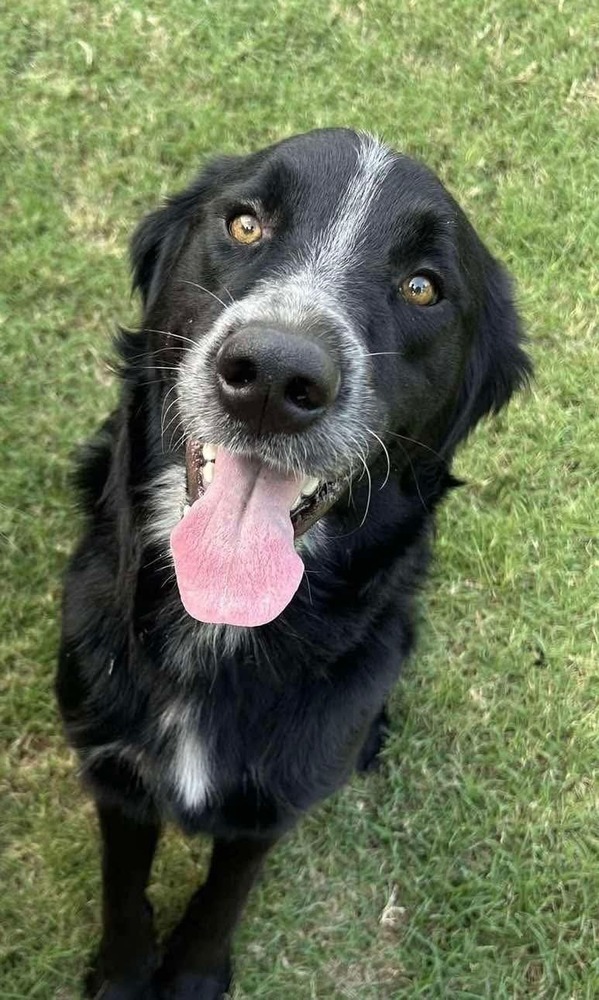 Cooper