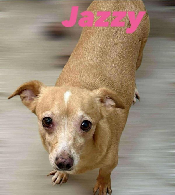 Jazzy