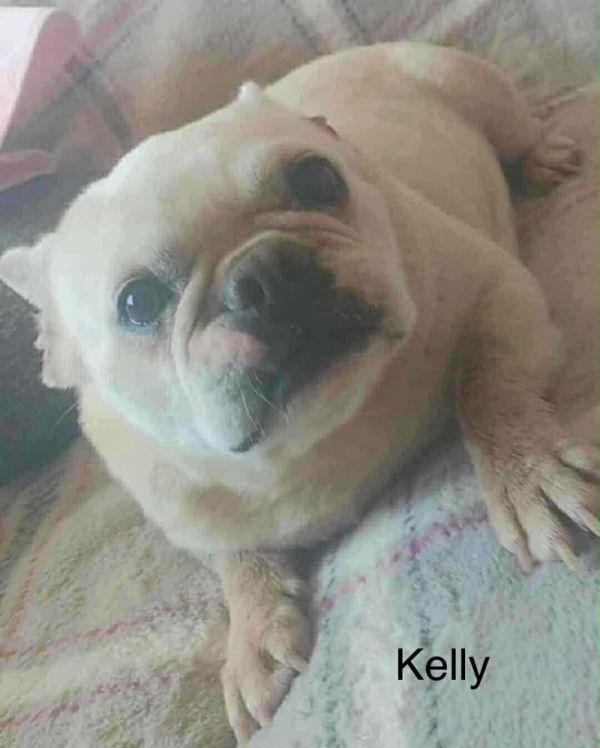 Kelly