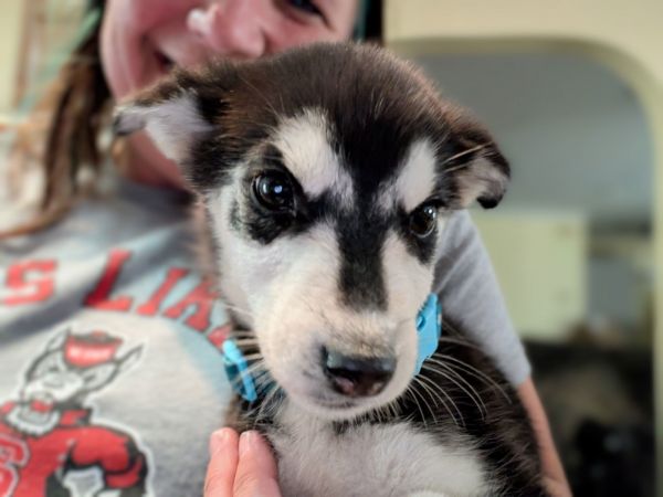 Korra