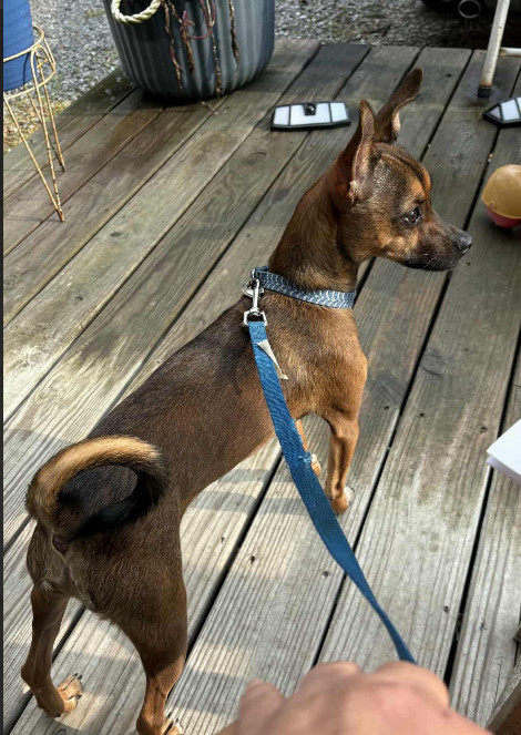 Coco in LA
