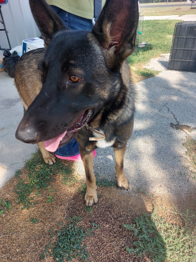 Jax
