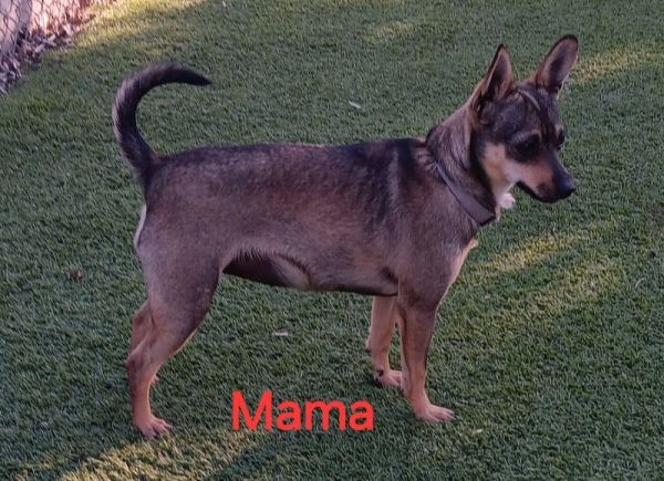 Mama