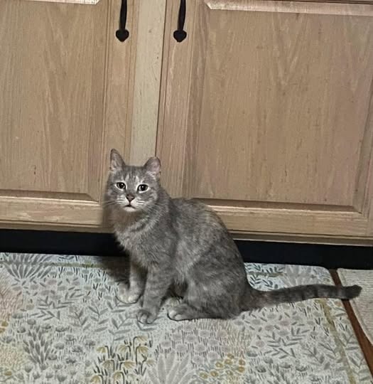 Ella aka Squeaky