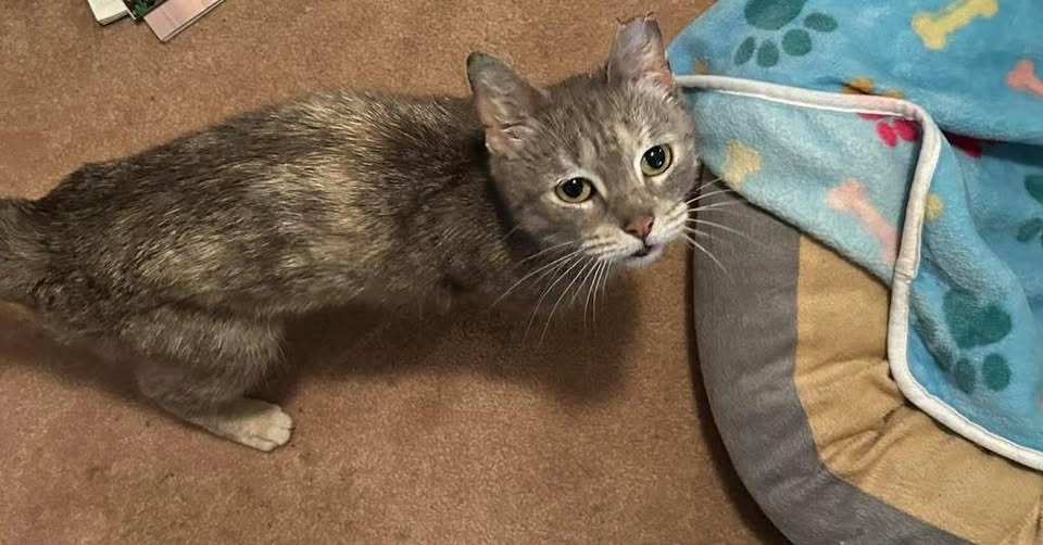 Ella aka Squeaky
