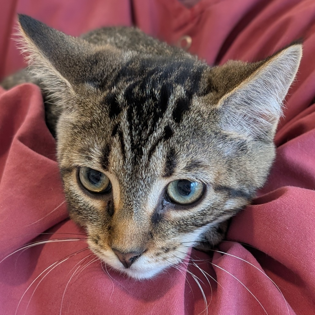Mia