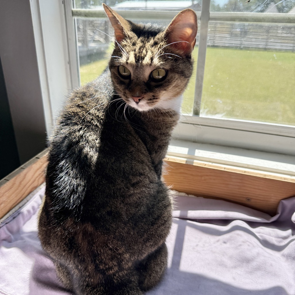 Rosie