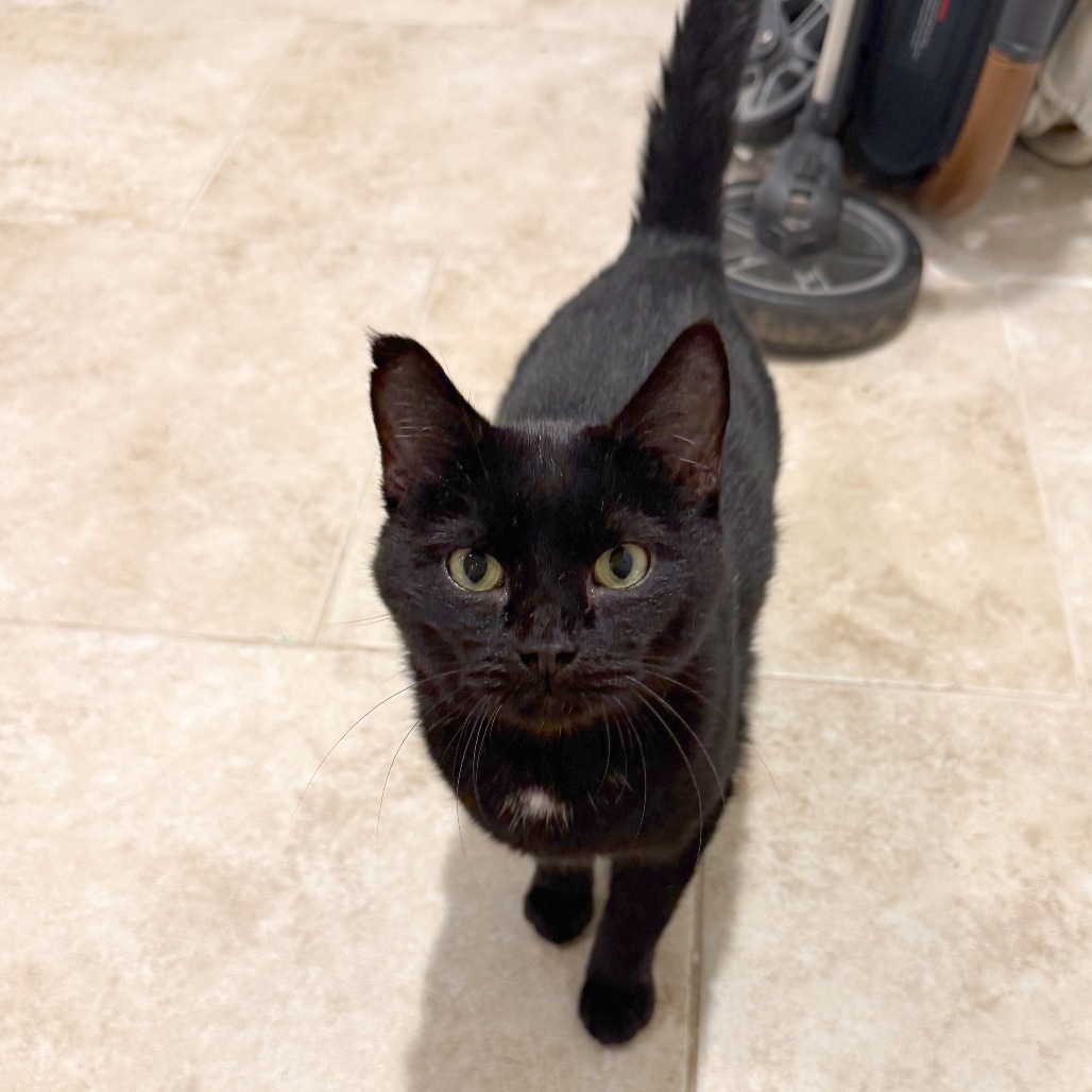 Bates Family: Norma (16674)