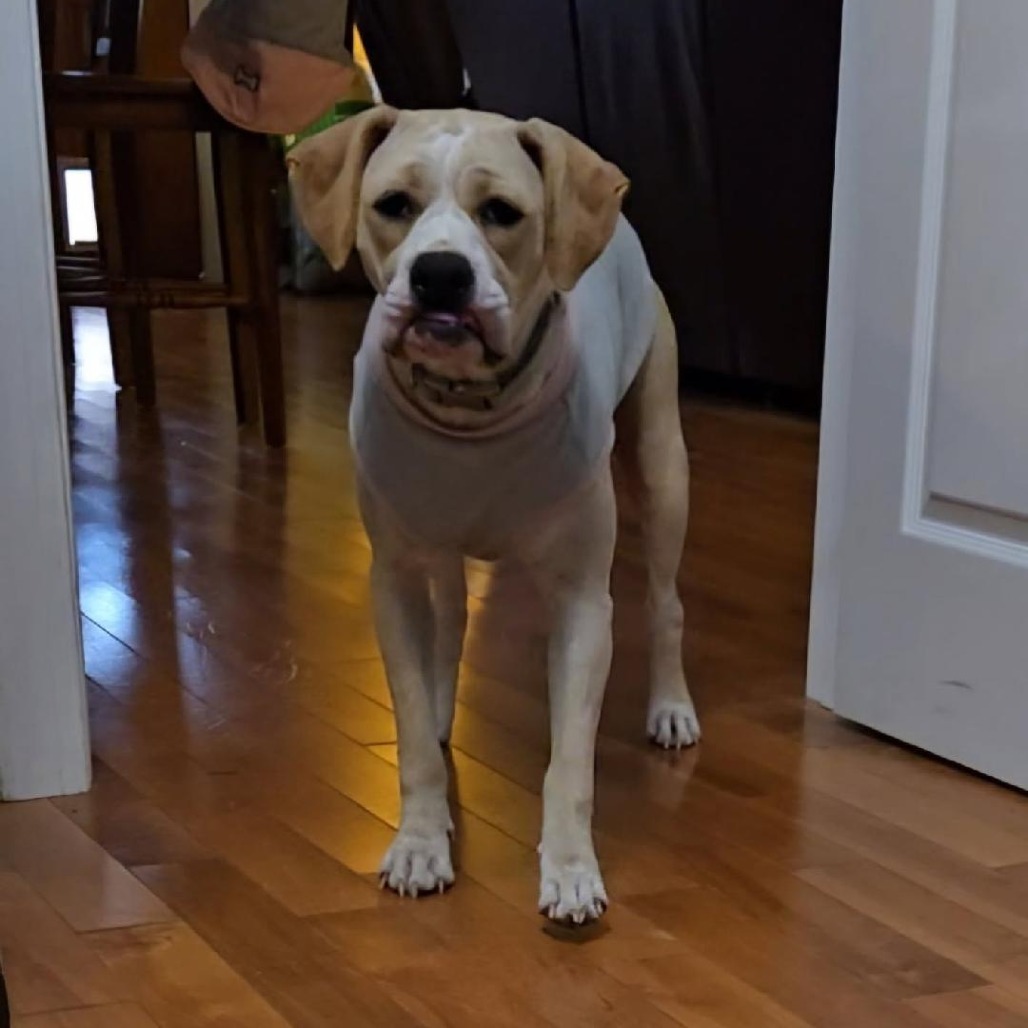 Lena