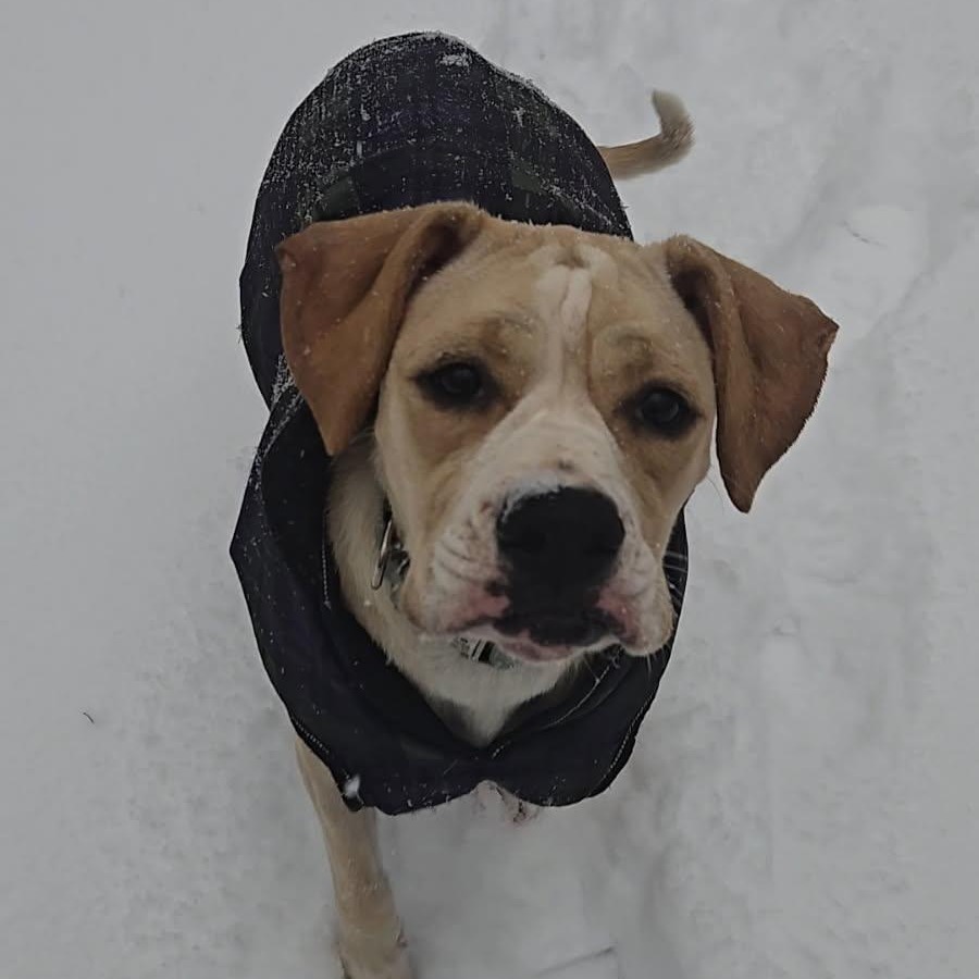 Lena