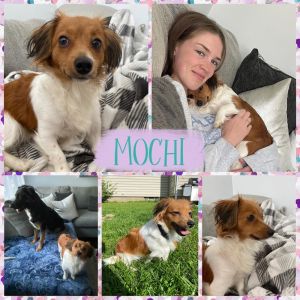Mochi