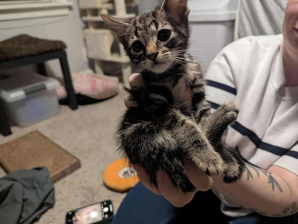 Oskar