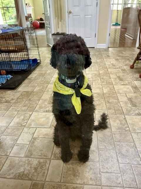 Bentley thumbnail 3