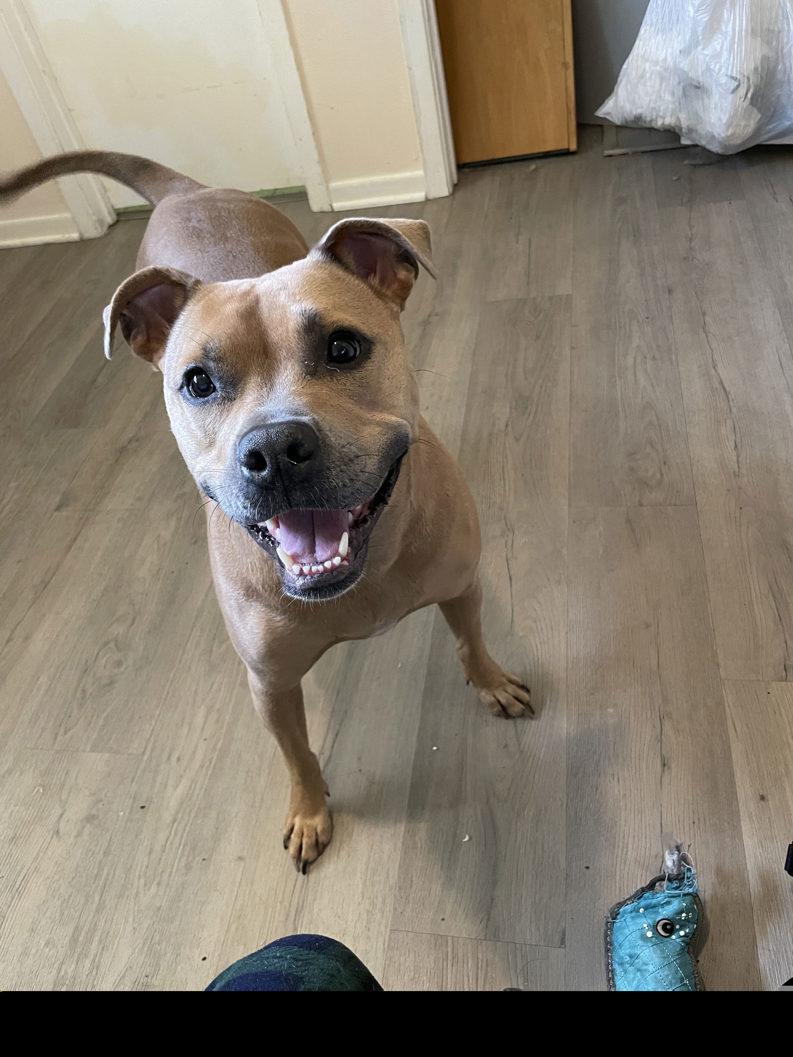 Luna XXXI (New Digs)