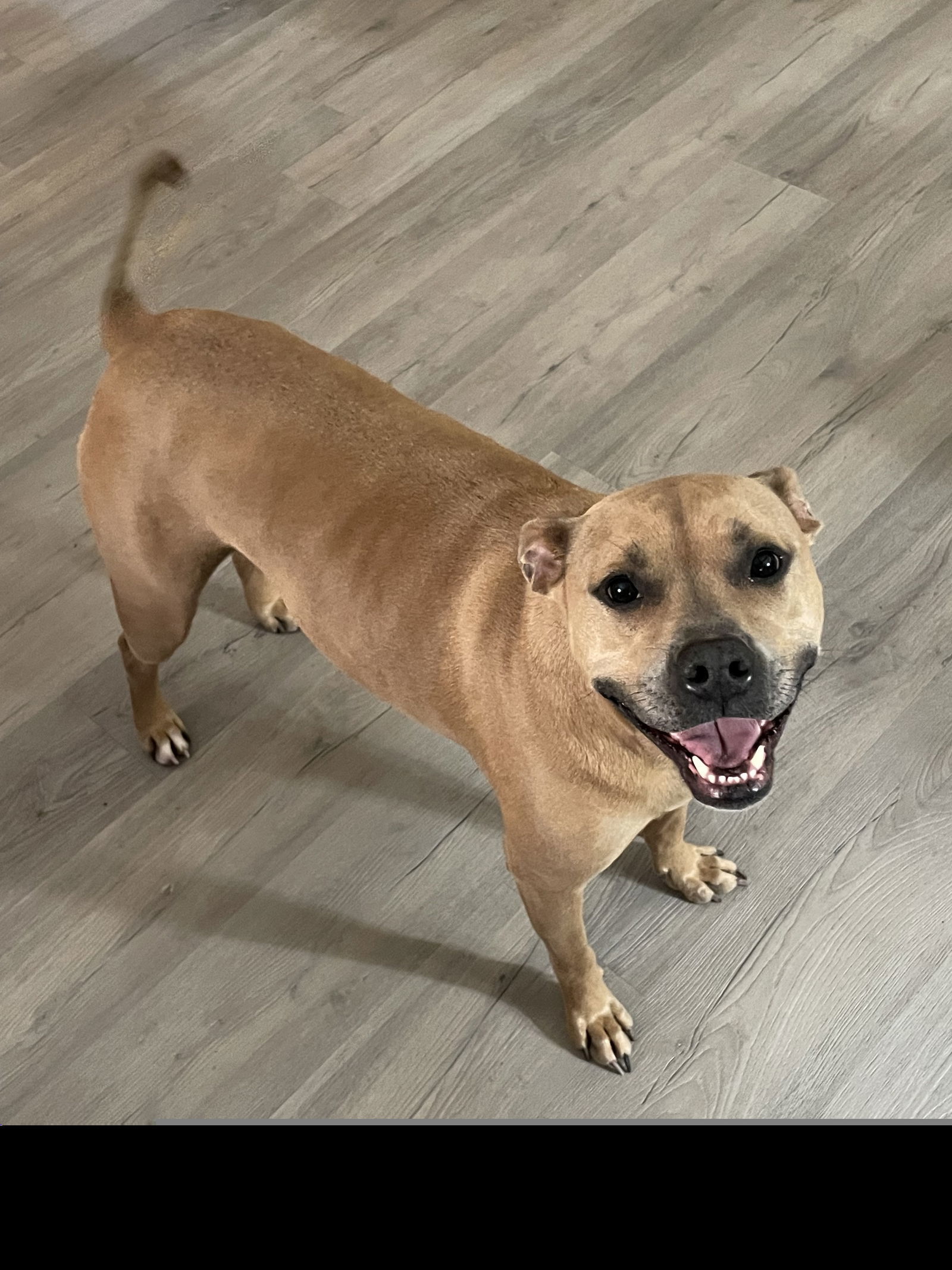 Luna XXXI (New Digs)