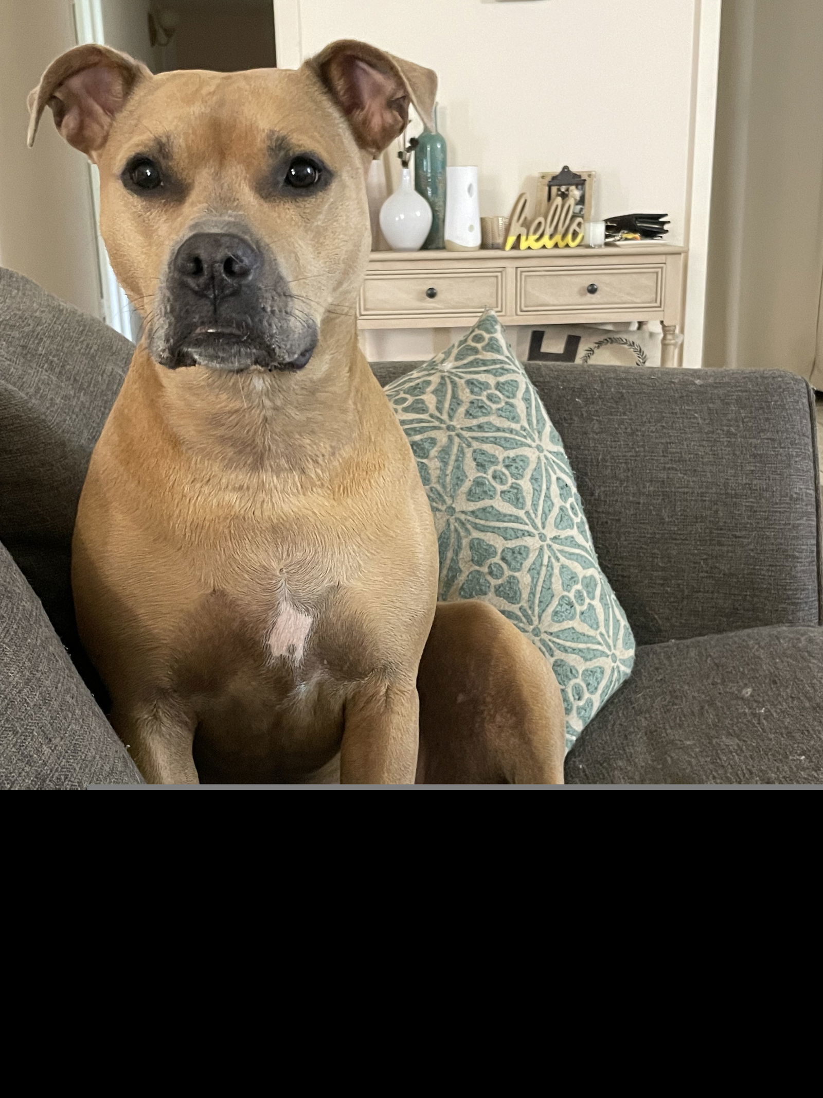 Luna XXXI (New Digs)