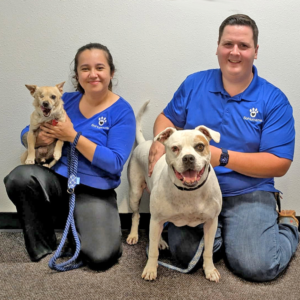 Scooter, an adoptable Mixed Breed in Medford, OR, 97501 | Photo Image 3