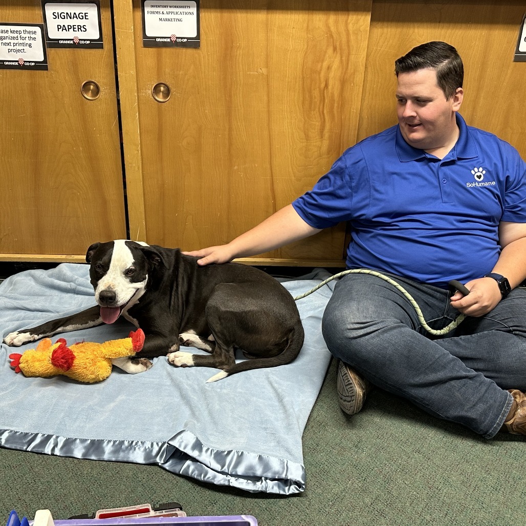 Dr. Seuss, an adoptable Mixed Breed in Medford, OR, 97501 | Photo Image 2