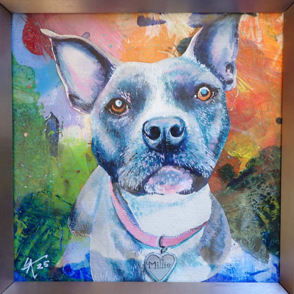 Millie, an adoptable Mixed Breed in Medford, OR, 97501 | Photo Image 5